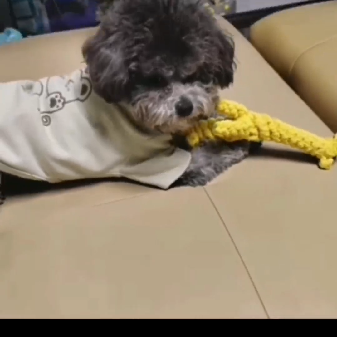 1pc Pet Dog Toys Carrots Dog Chew Carrot Durable Braided Bite Pear Resistant Puppy Molar Fruits Cleaning Teeth Vegetables Cotton Rope Toy